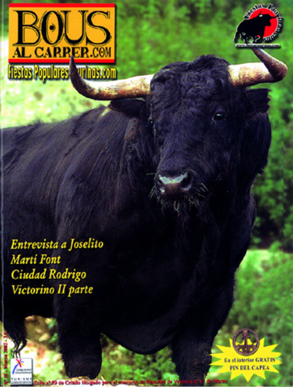 Revista 11