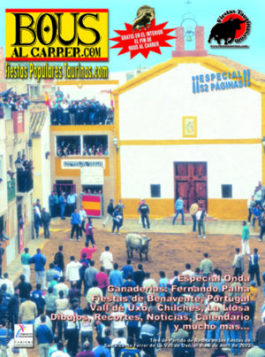 Revista 13