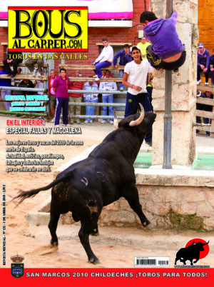 Revista 132