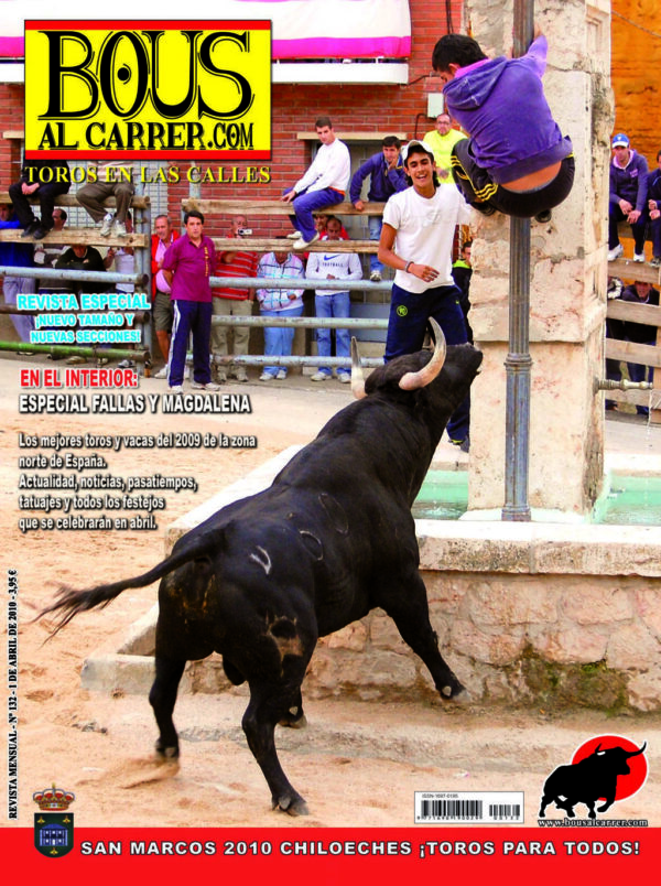 Revista 132