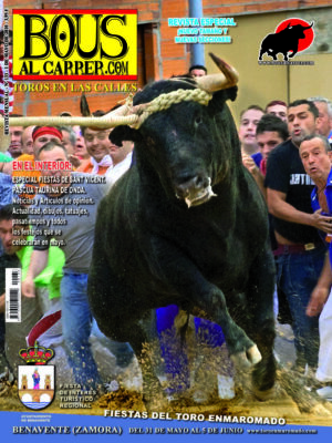 Revista 133