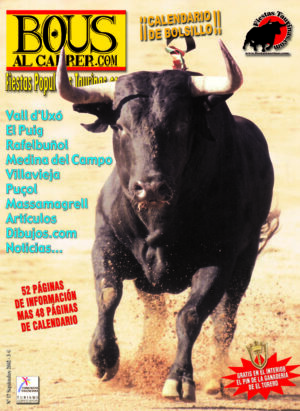 Revista 17