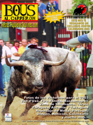 Revista 20