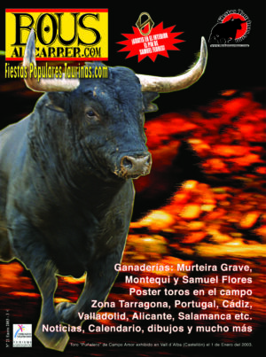 Revista 21