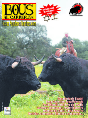 Revista 23