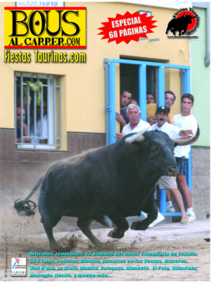 Revista 29