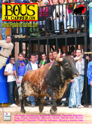 Revista 31