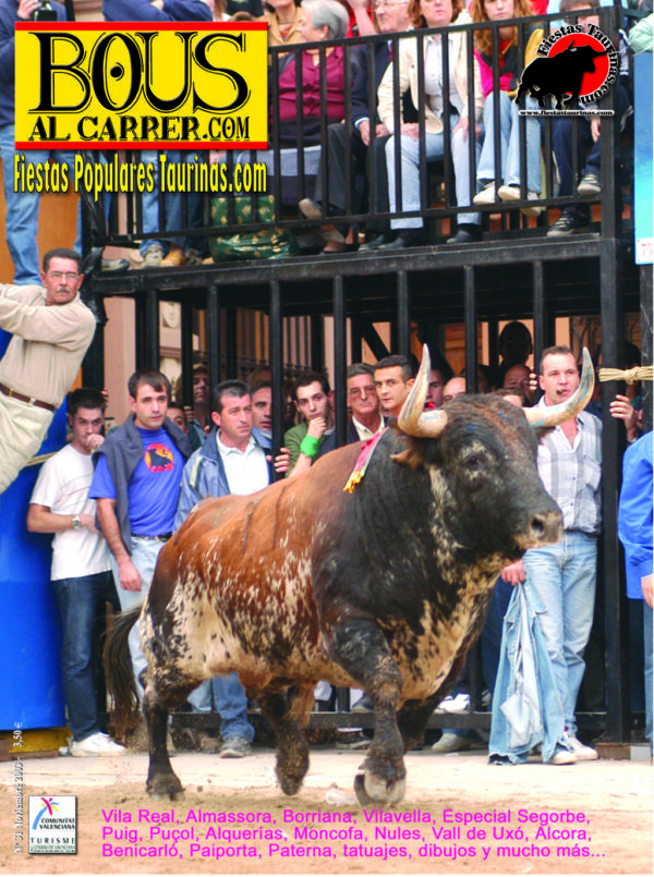 Revista 31