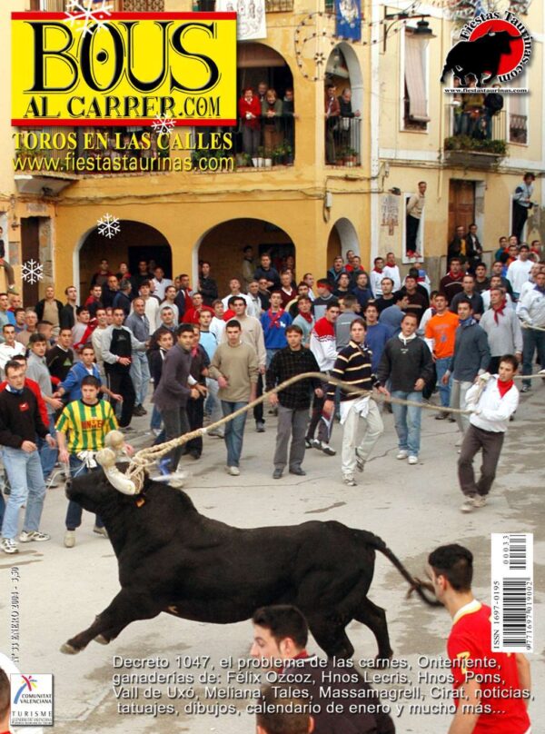 Revista 33