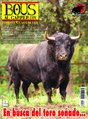 Revista 35