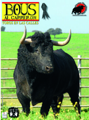 Revista 36