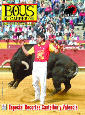 Revista 37