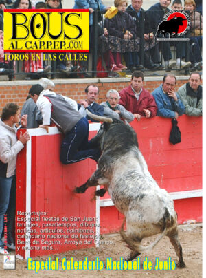 Revista 38