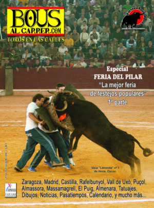 Revista 43