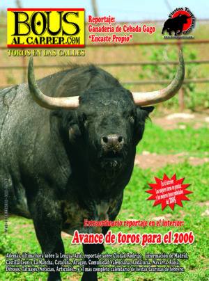 Revista 62