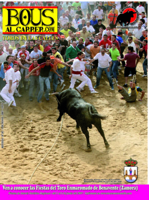 Revista 82
