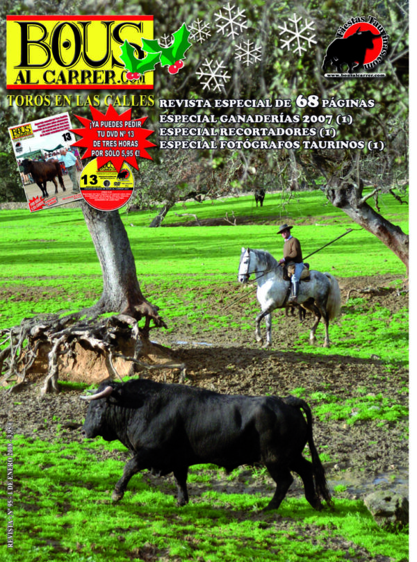 Revista 95