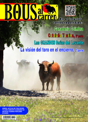 Revista 199