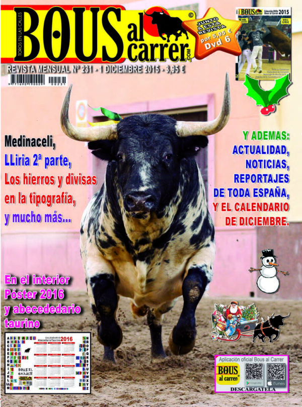 Revista 231