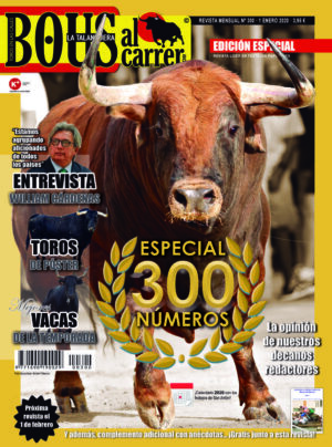 Revista 300