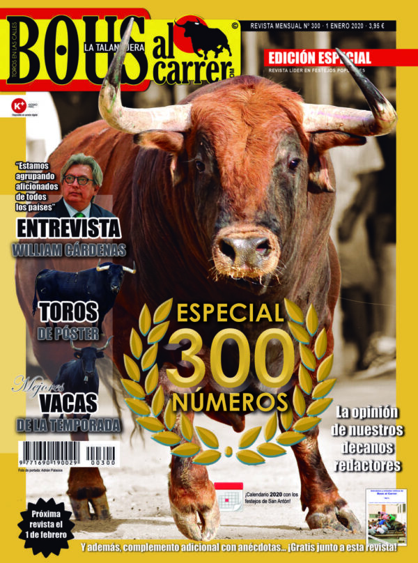 Revista 300