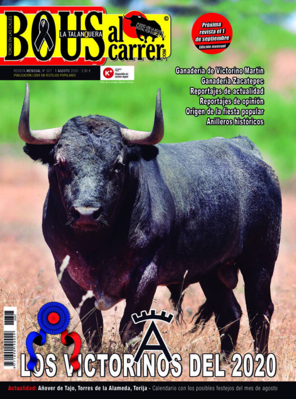 Revista 307
