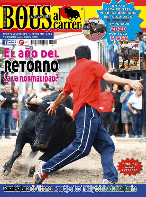 Revista 312
