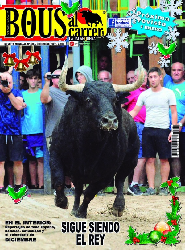 Revista 1 de diciembre - Nº335