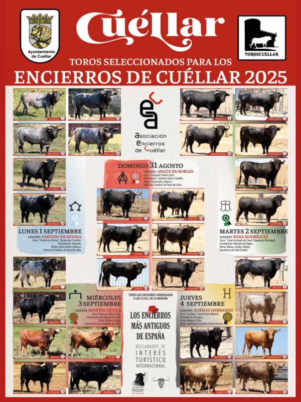Revista Bous al Carrer - Edición Septiembre- 2025 (Nº 368) - Imagen 5