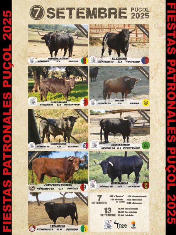Revista Bous al Carrer - Edición Septiembre- 2025 (Nº 368) - Imagen 4
