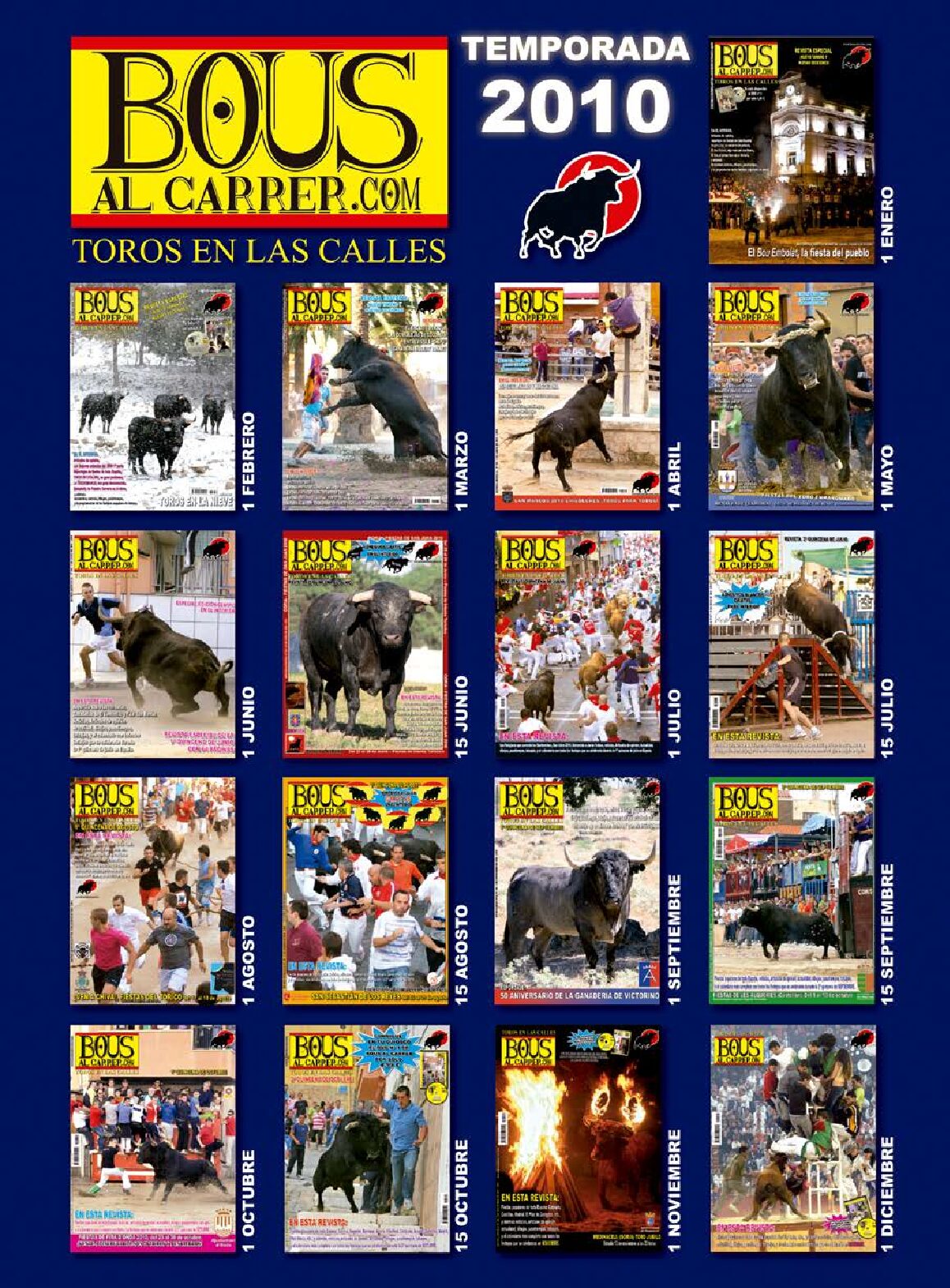 Revistas 2010