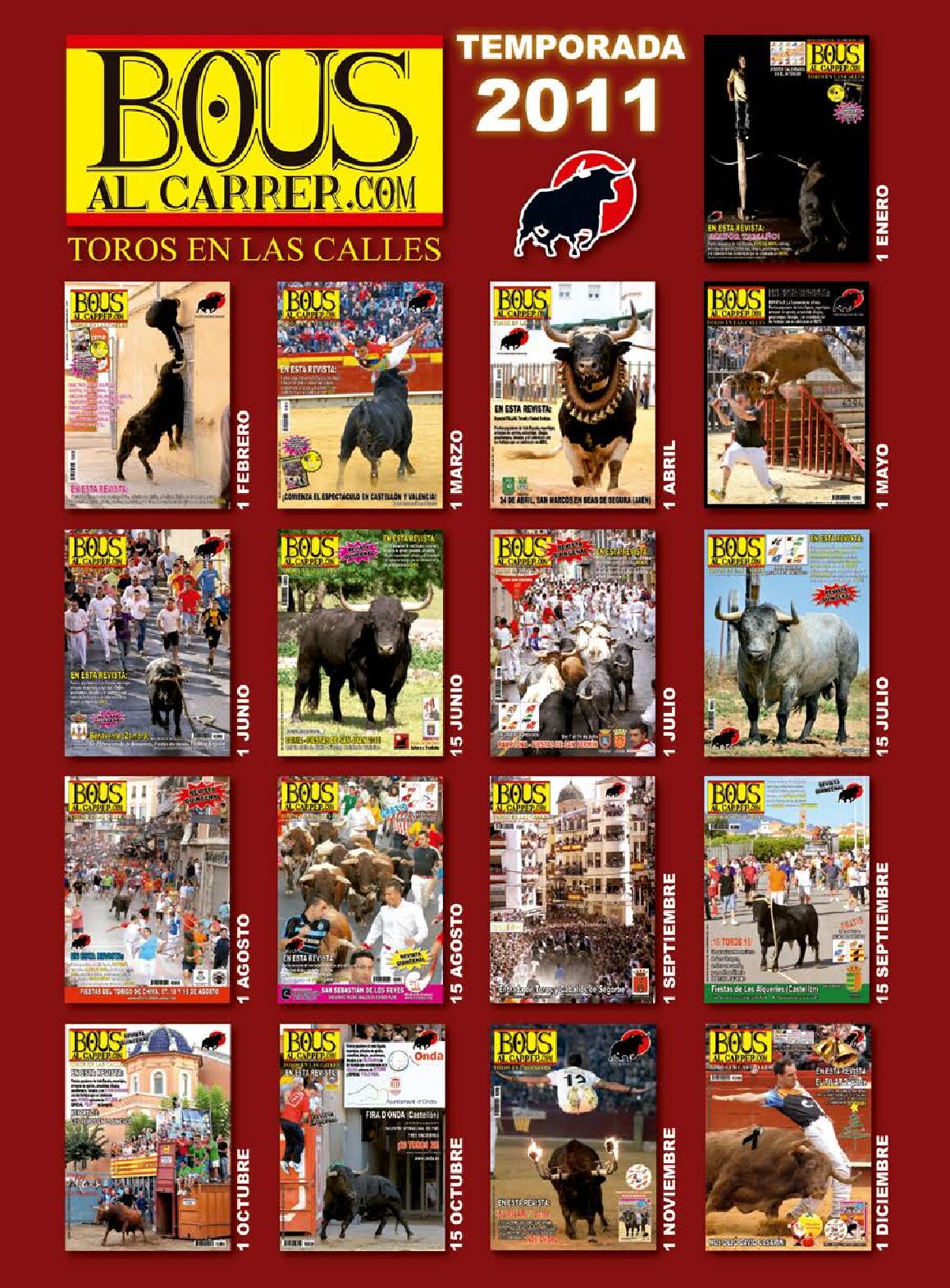 Revistas 2011