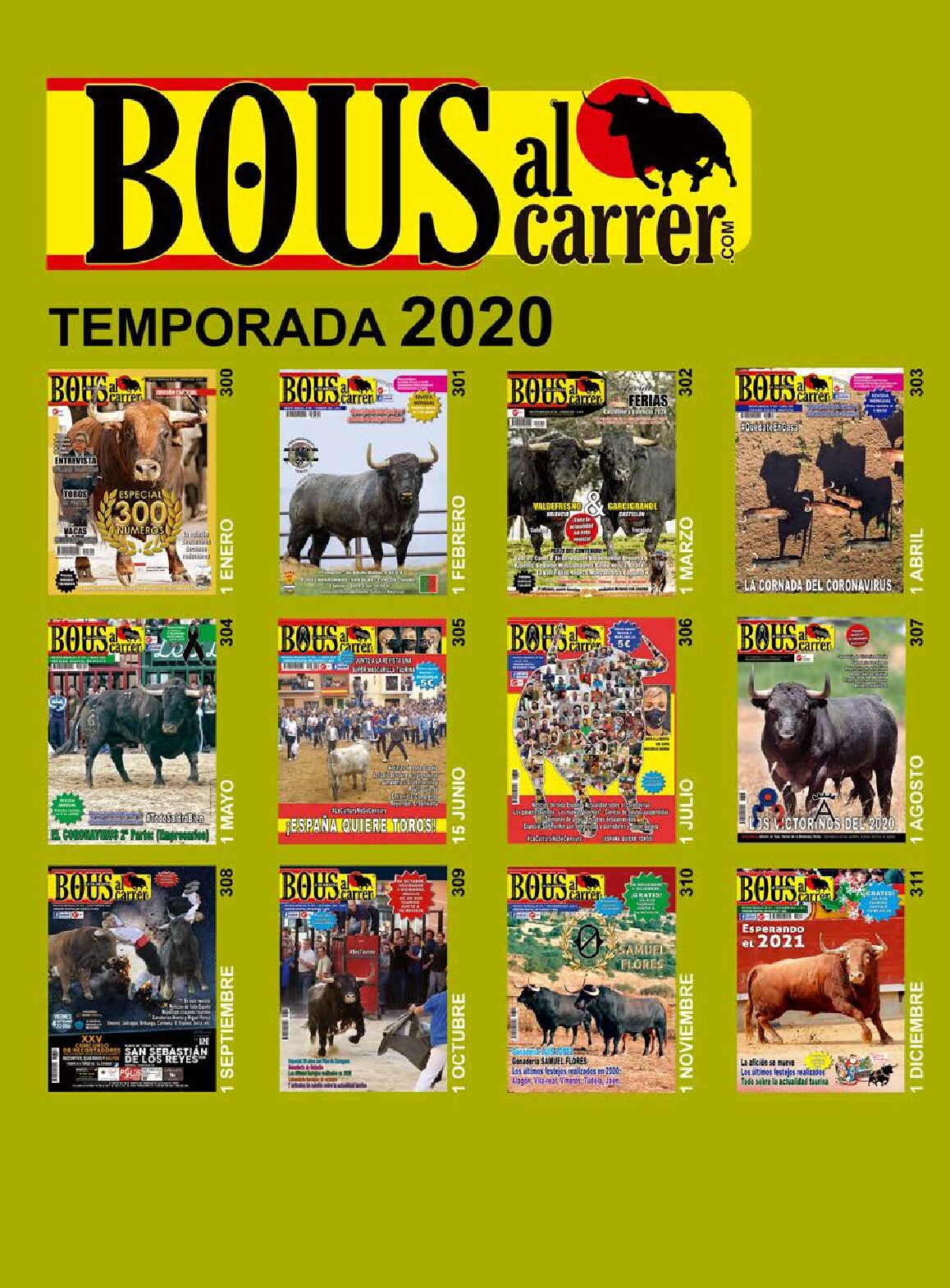 Revistas 2020