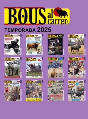 Revistas 2025