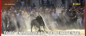 BENAVENTE (Zamora)