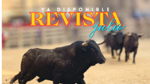 Revista nº378 de JULIO ya disponible