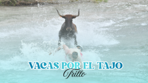TRILLO (GU) · VACAS POR EL TAJO 