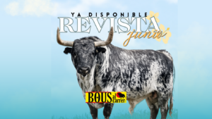 Revista nº377 de JUNIO ya disponible